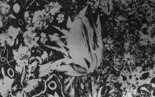 Converge