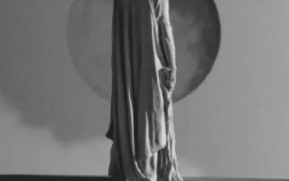 The Lumberjack Feedback