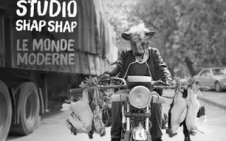 Studio Shap Shap Studio Shap Shap