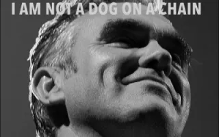 Morrissey