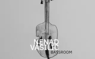 Nenad Vasilić