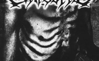 Corpse Pile