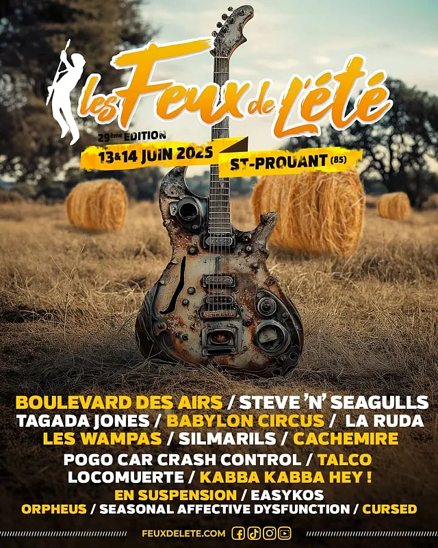 Les feux de l'été 2025