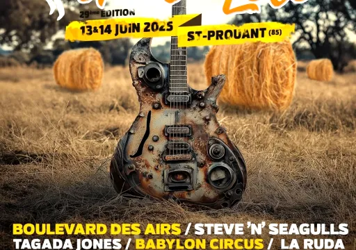 Les feux de l'été 2025