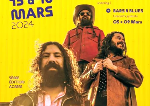 Roanne Blues festival 2024